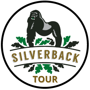 Silverback Gorilla Tours